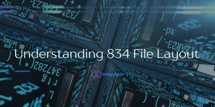 Understanding 834 File Layout