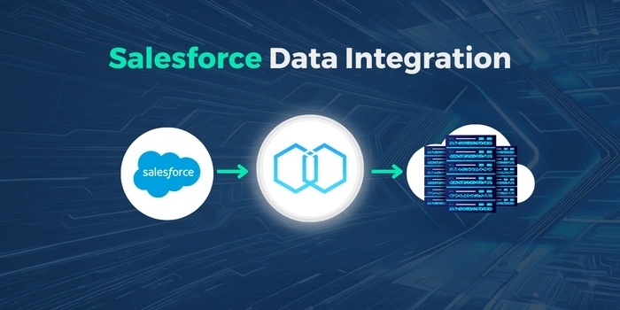 Salesforce Data Integration