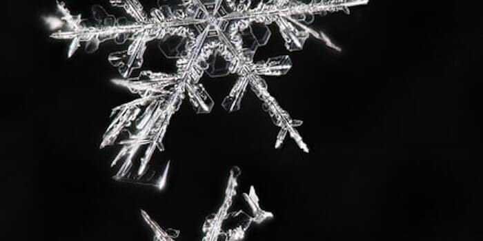 These Are the Top 5 Snowflake Database Features for Salesforce Users Everywhere