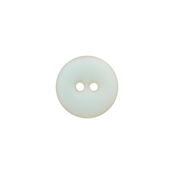 Shell/Polyester button 2-holes