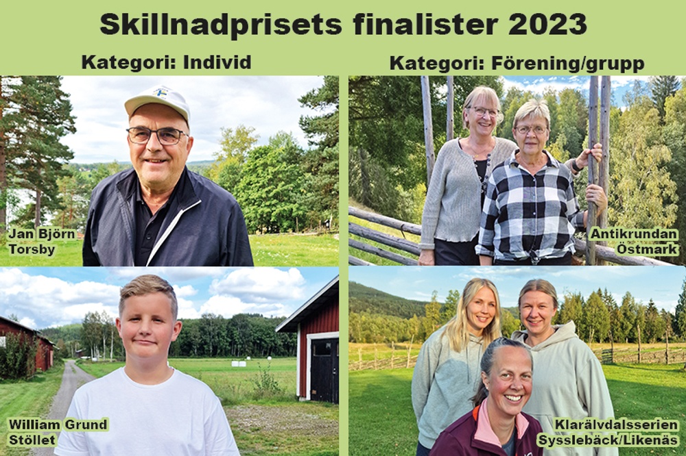 Skillnadprisets finalister 2023