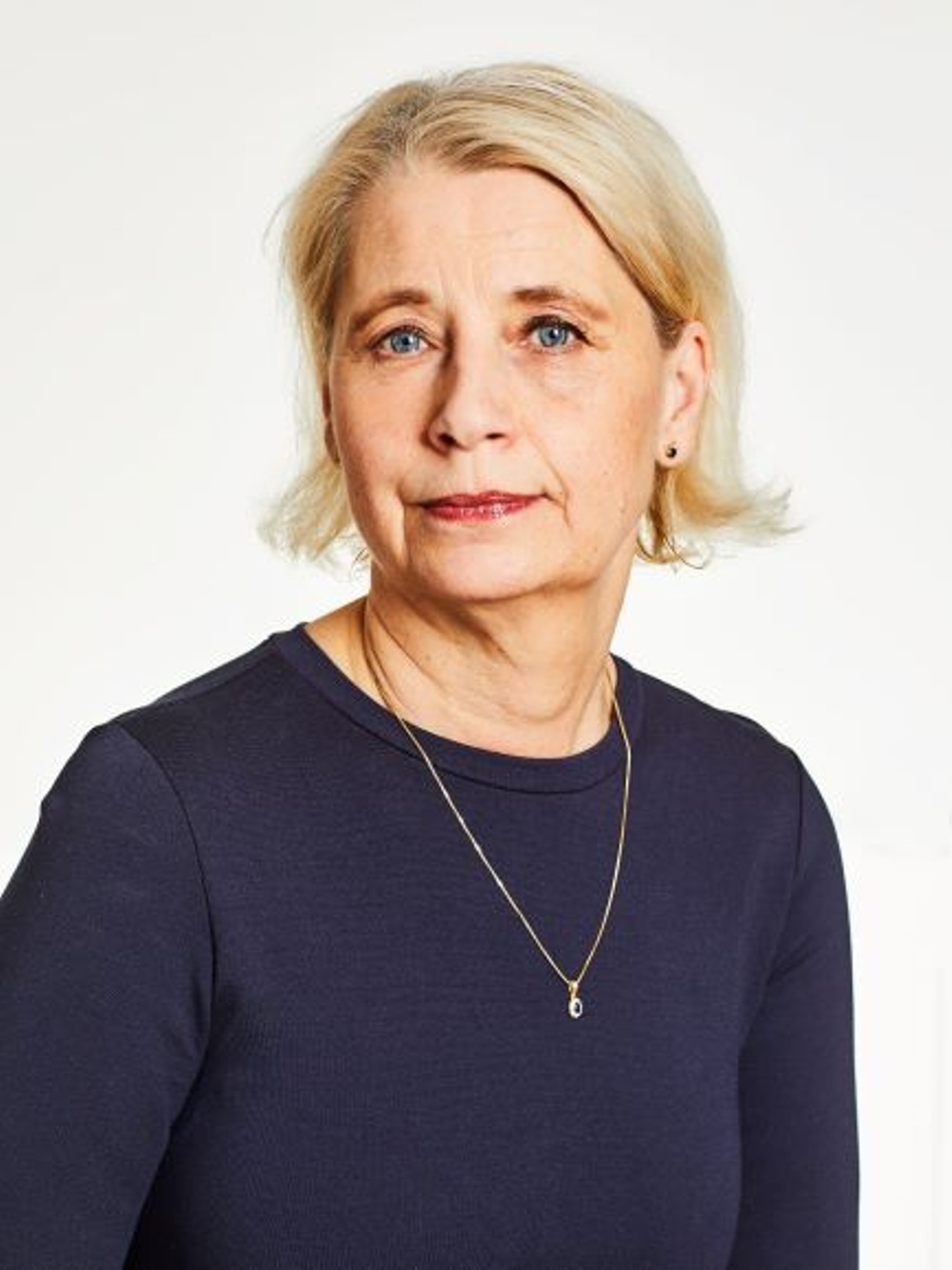 Birgitta Wedahl, Sakkunnig i internationella frågor