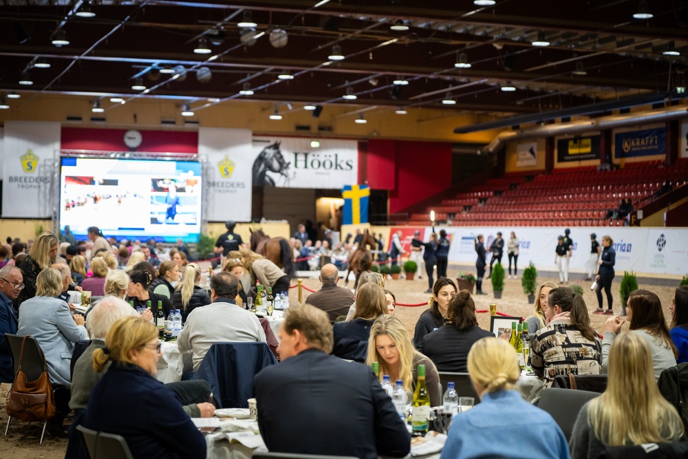 SWB Elite Foal Auctions arrangeras i år för 17:e året i rad. I år satsar SWB på att höja upplevelsen under hela tävlingen för både publik och deltagare. Foto: Michaela Swärd/SWB