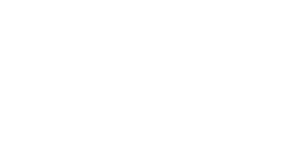 01 StarStableEntertainment_Logo_05.png