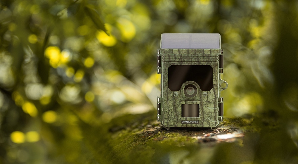 Transcontinenta distributes Camouflage wildlife and Birdfeed cameras