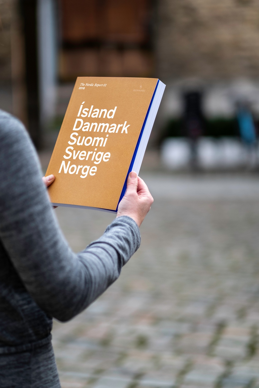 The Nordic Report.jpg