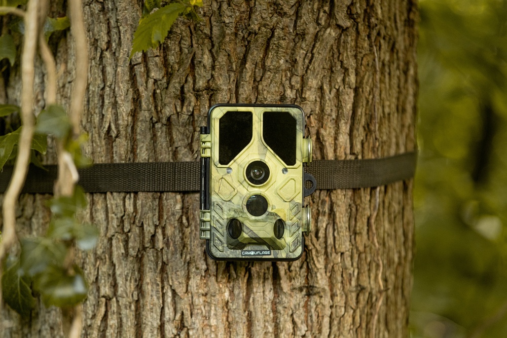 Camouflage Trail Cameras