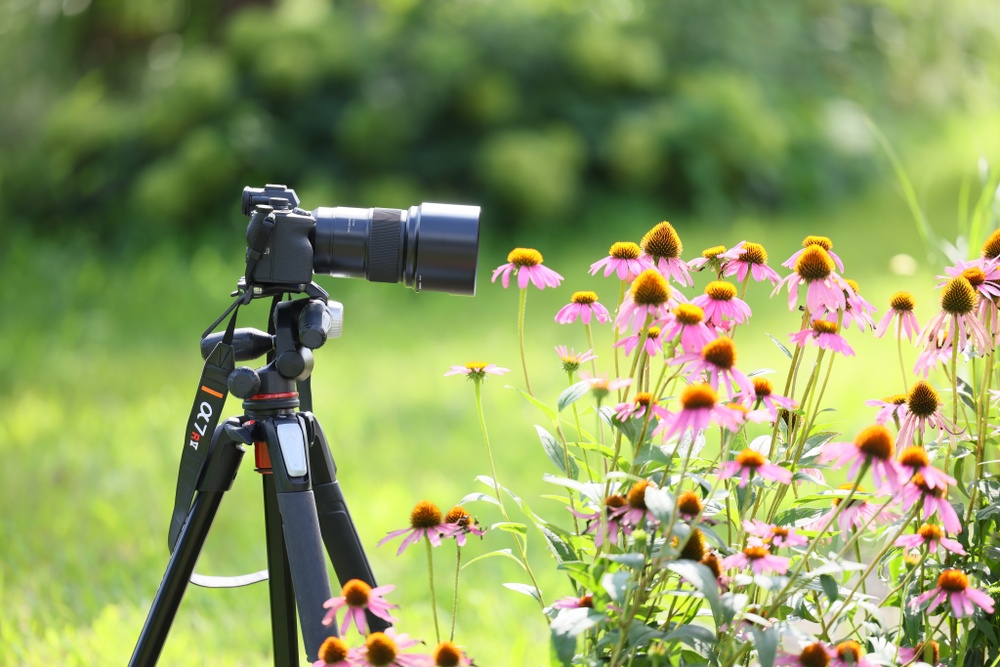 Tamron 90mm F2.8 Di III Macro VXD