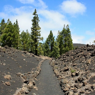 tourhub | Exodus Adventure Travels | Contrasts of Tenerife Walk 