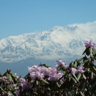 tourhub | Exodus Adventure Travels | Darjeeling, Sikkim & the Singalila Ridge 