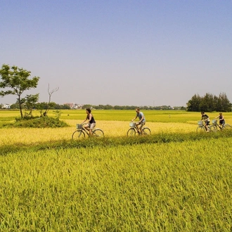 tourhub | Gray Line Vietnam | 8 Day Reformative Healing Escape in Da Nang, Hoi An, Hue 