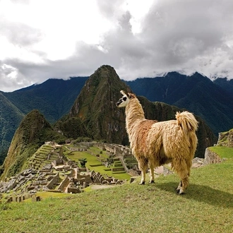 tourhub | Insight Vacations | Peru with Machu Picchu & the Nazca Lines - Small Group 