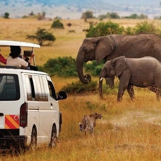 tourhub | Gracepatt Ecotours Kenya | 3-Days Masai Mara Group Joining Safari - Daily Departures 