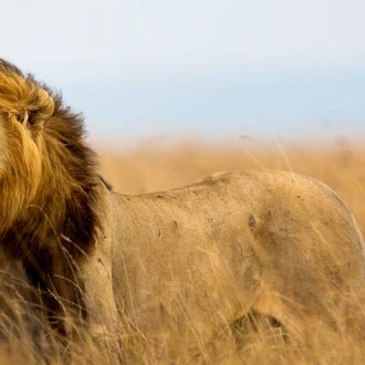 tourhub | On The Go Tours | Masai Mara & Tanzania Explorer - 13 days 