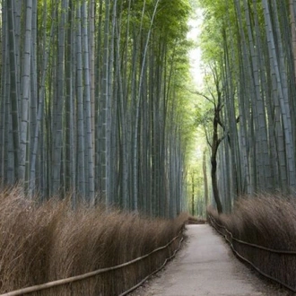 tourhub | Tweet World Travel | Japanese Alps - Snow Monkeys & Snow Corridor 