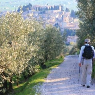 tourhub | UTracks | St Francis Way: Assisi to Spoleto 