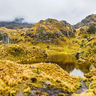 tourhub | Explore! | Ecuador - Andes to Amazon 