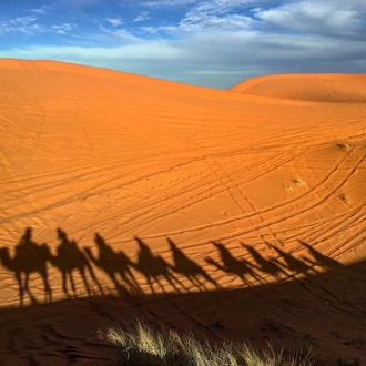 tourhub | Morocco Private Tours | 14 Days  Best of Morocco 