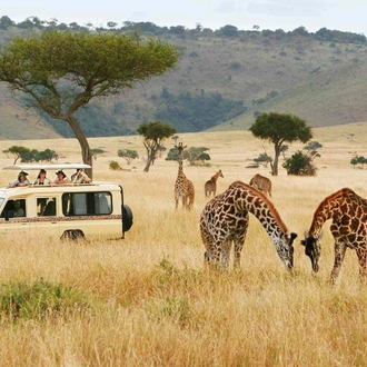 tourhub | Johnbow Tours and Travel | 3-Days Masai Mara safari by 4 X 4 Jeep 