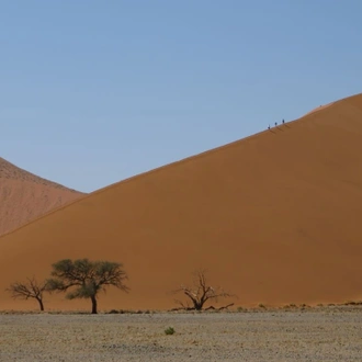 tourhub | Motor Trails | 14 Days Discover Northern Namibia, Kakoaland by Motorcycle 