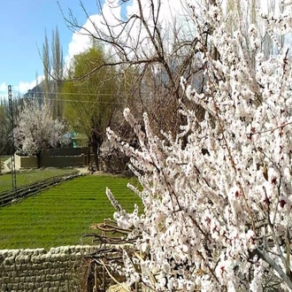 tourhub | Beyond the Valley LLP | Skardu Valley Cultural Trip 