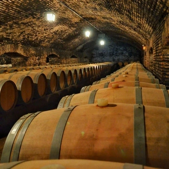 tourhub | Angel Wine Experiences | FriuLI VEnezia Giulia, Six days to discover the wines and flavors of Unique land. 