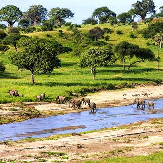 tourhub | Verdoro Safaris | 6-Days Mgahinga Gorillas, Ngorongoro, Manyara and Tarangire experience 