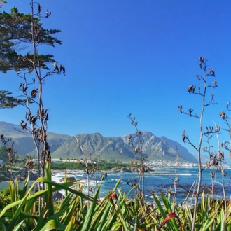 tourhub | ATC South Africa | Cape Town with Garden Route and Vineyards, Self-drive 