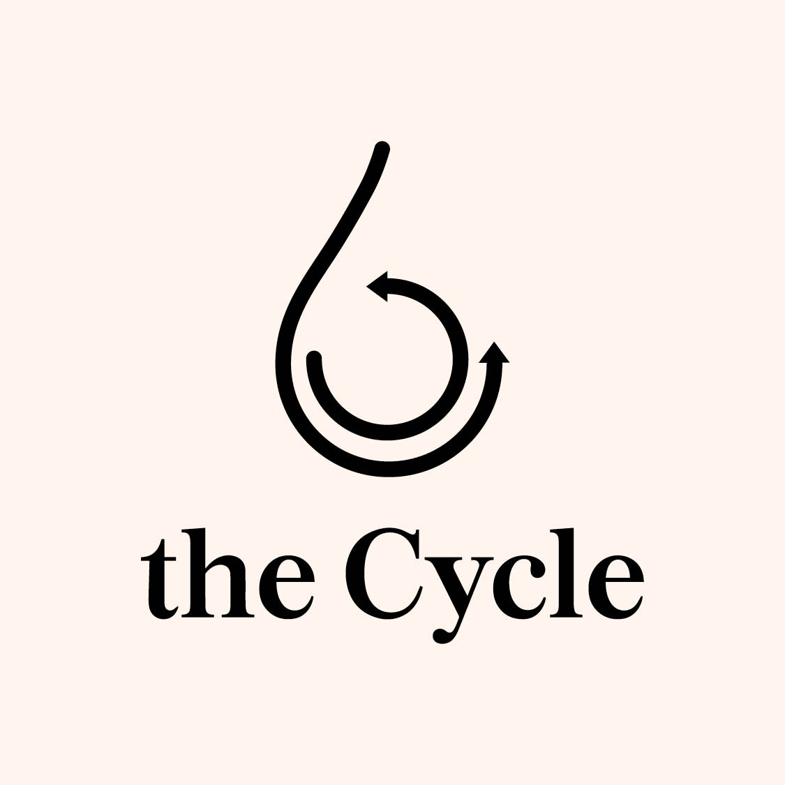 The Cycle (INGO) logo