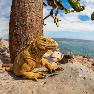 tourhub | Latin Trails | Galapagos Northern and Southern Islands Cruise 