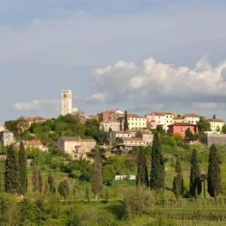 tourhub | UTracks | Villages of Istria Walk 