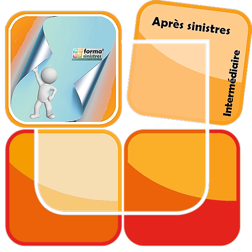 Représentation de la formation : Décontamination des papiers peints  