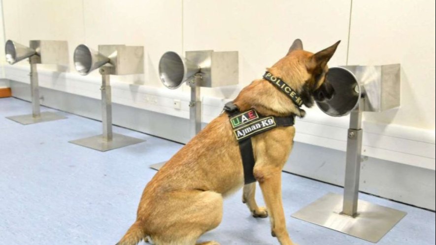 Représentation de la formation : AGENT DE RECHERCHE EN OLFACTION CANINE  - AROC