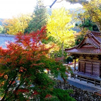 tourhub | The Natural Adventure | Shikoku Pilgrim Trail 