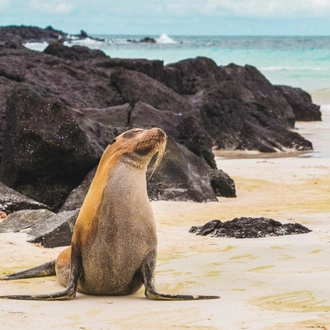 tourhub | Unu Raymi Tour Operator & Lodges | Galapagos Island Hopping Tour – 7 Days 