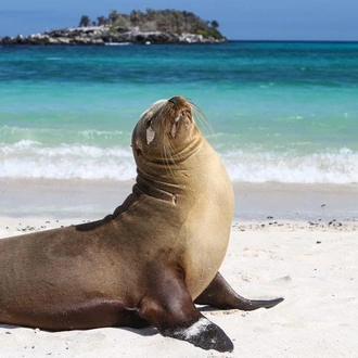 tourhub | G Adventures | Galápagos — North, West & Central Islands aboard the Yolita 