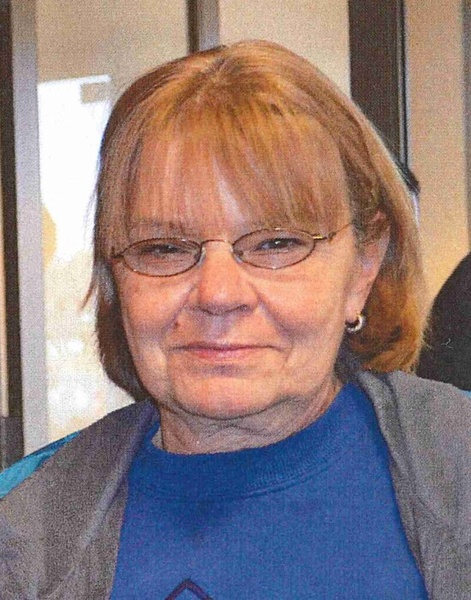 Sue Wilcox Profile Photo