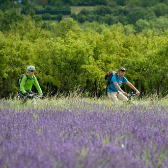 tourhub | Undiscovered Mountains | Alps to Provence E-mountain Bike Tour 