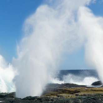 tourhub | Intrepid Travel | Samoa Adventure 