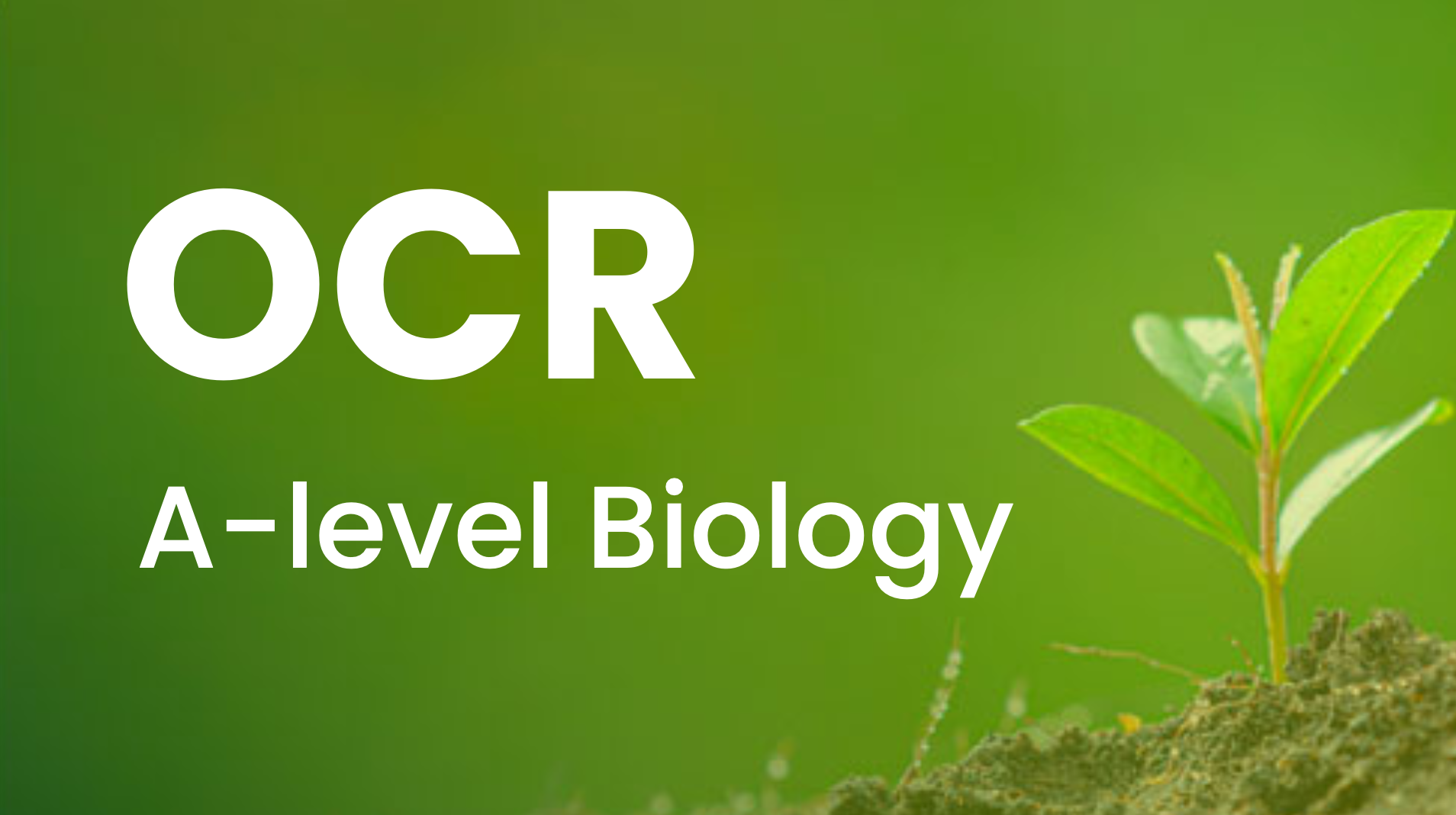 Study Mind OCR A-Level Biology 🧬🔬 | Study Mind