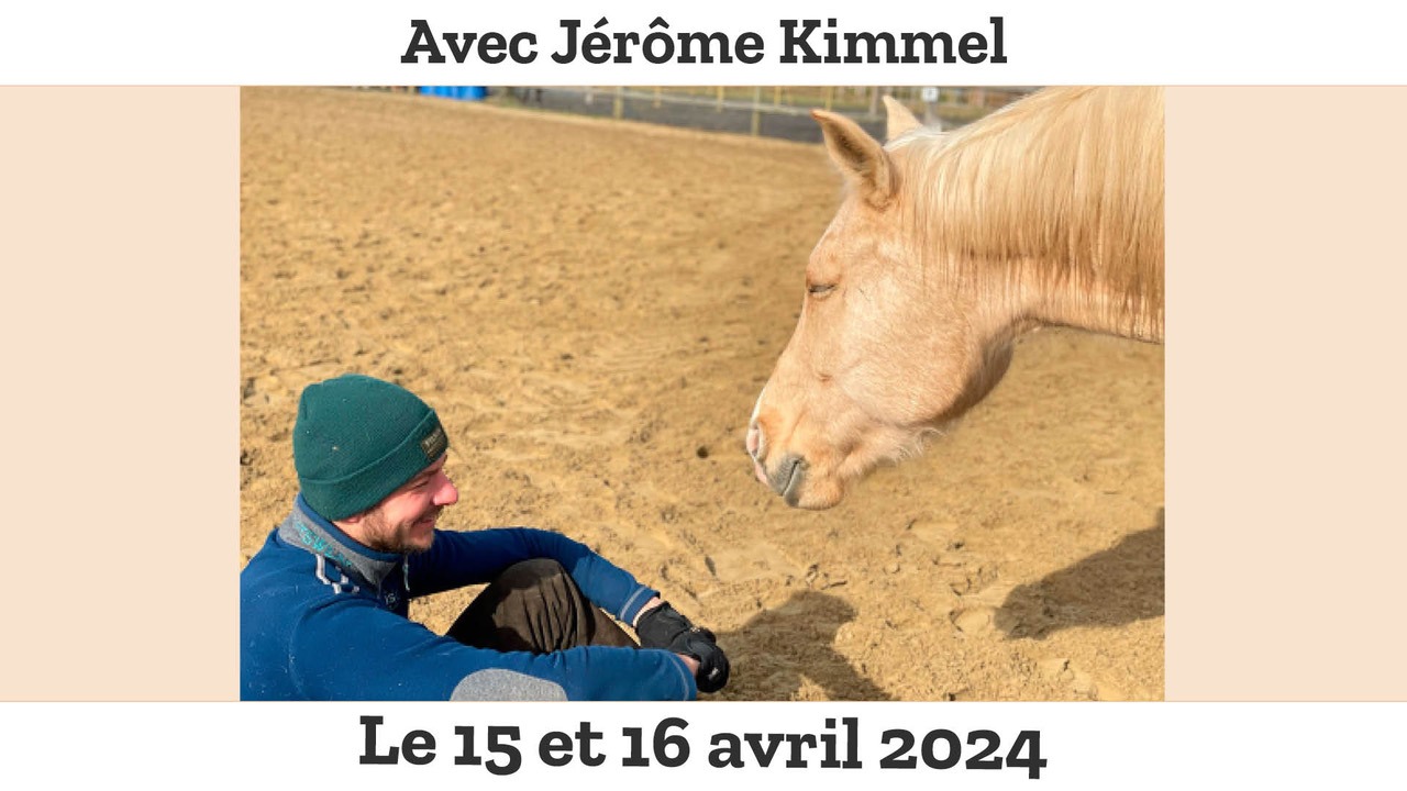 Représentation de la formation : Découvrir l'équicoaching - Module 2 - Jérôme Kimmel