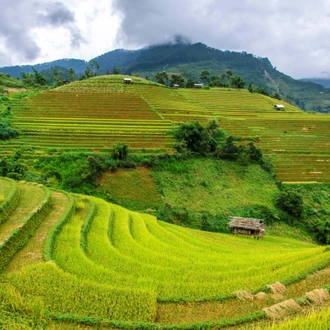 tourhub | Mr Linh's Adventures | Adventure to Mu Cang Chai Rice Fields 3 days 2 nights 