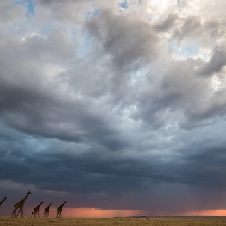 tourhub | Exodus Adventure Travels | Kenya Photographic Safari with Paul Goldstein - Premium Adventure 