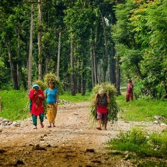 tourhub | Liberty Holidays | Pokhara (adventurous city), Dhampus Gurung village, Chitwan National Park tour  