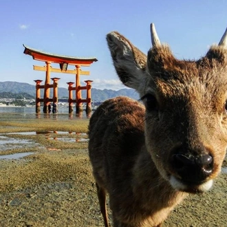 tourhub | Oku Japan | In the Shadow of Mountains 