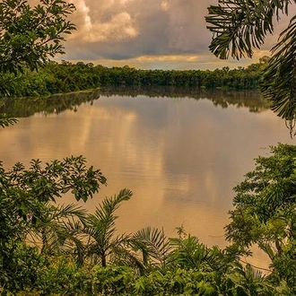 tourhub | Bamba Travel | Puerto Maldonado Amazon Field Station 5D/4N (from Puerto Maldonado) 