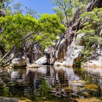 tourhub | Intrepid Travel | Walk Queensland's Scenic Rim 