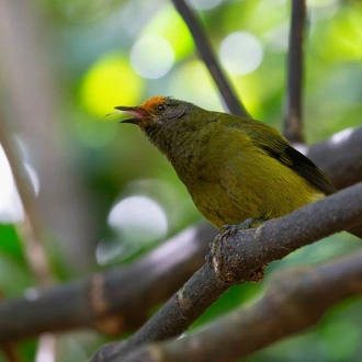 tourhub | Heritage Expeditions | Unseen Queen Charlotte Sound 