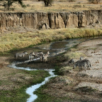 tourhub | Exodus Safaris | 11-Day Serengeti, Kilimanjaro Hike & Chimpanzee Trek 