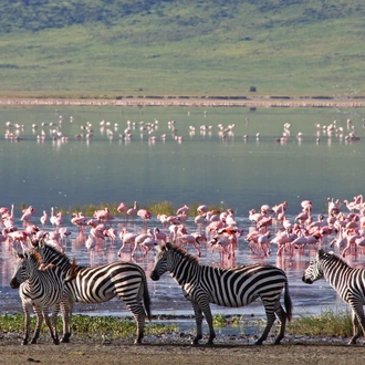 tourhub | Indus Travels | Captivating Kenya 